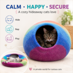 Rainbow Cat Cave - Image 7