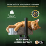 Cat Bed - Image 7