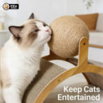 Spin Scratch Wooden Cat Lounger - Image 6